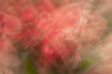 Long exposure tulpen in roze en groen in beweging. Lente natuurfotografie.