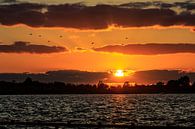 Loosdrechtseplassen zonsondergang / sunset van Dick Jeukens thumbnail