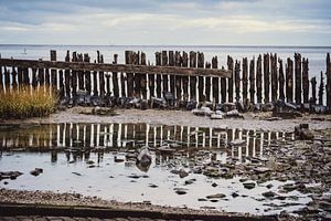Wattenmeer - 10