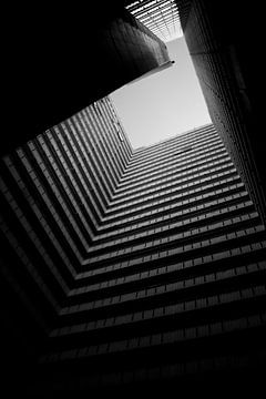 Look Up! van Rene scheuneman