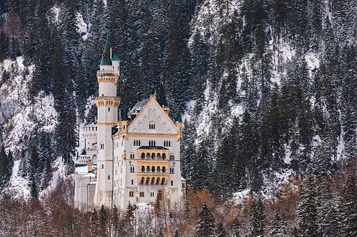 Kasteel Neuschwanstein, Allgäu, Beieren, Duitsland