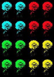 Dahlia photoshop by Henriette Tischler van Sleen