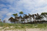 Am Westsrand by Ostsee Bilder thumbnail