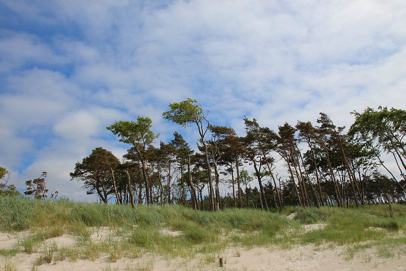 Am Westsrand by Ostsee Bilder