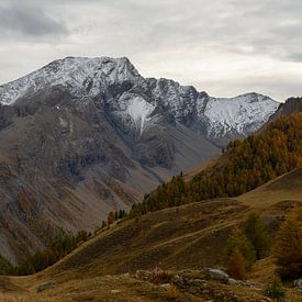 Autumn in the Alps by Sander Strijdhorst