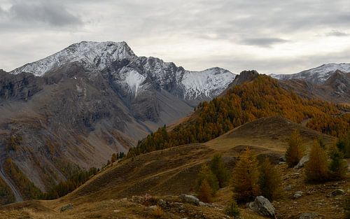Autumn in the Alps by Sander Strijdhorst
