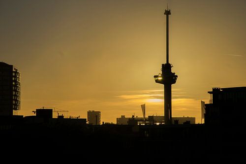 Silhouet van Euromast, Rotterdam