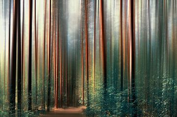 forêt magique sur Violetta Honkisz