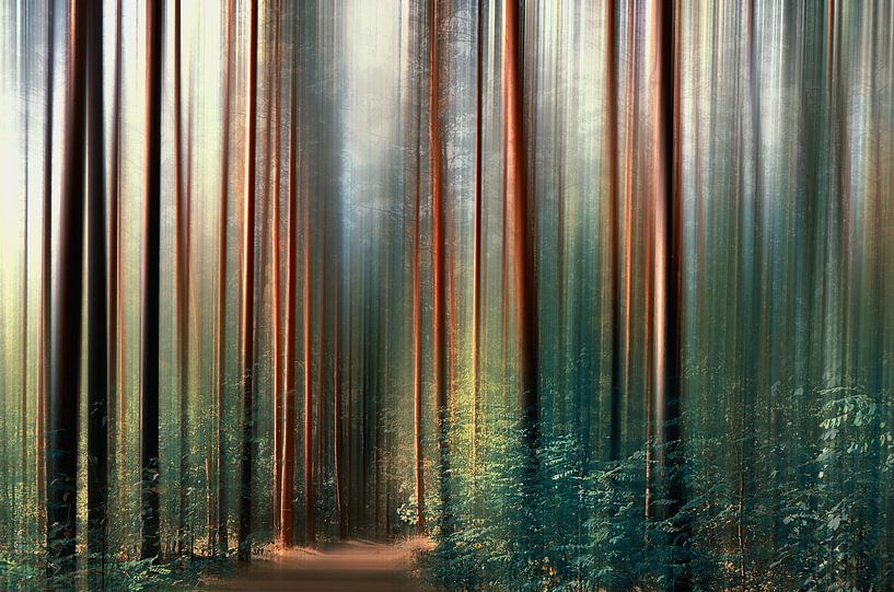 forêt magique par Violetta Honkisz