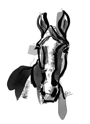 Horse portrait by Go van Kampen