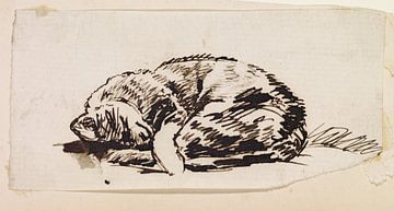 Study of a sleeping cat - William Holman Hunt