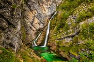 Wasserfall Savica in Bohinj, Slowenien von Bert Beckers Miniaturansicht