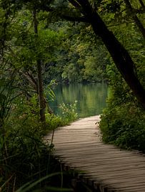 Green oasis in Plitvice Lakes National Park by Anouk Kooiman