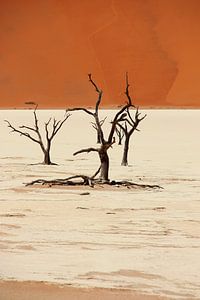 NAMIBIA ... Deadvlei II