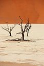 NAMIBIA ... Deadvlei II von Meleah Fotografie Miniaturansicht