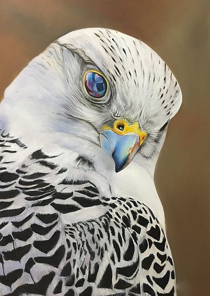 Geierfalke von Jennie Smallenbroek
