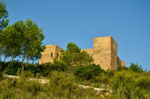 Het Castillo de Forna op een grote rots omringd door groene bomen en struiken onder een blauwe hemel