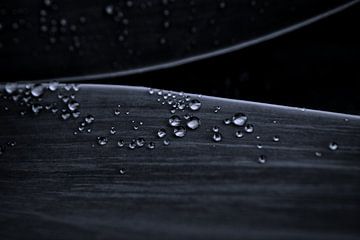 Druppels - water - abstract...