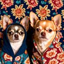 Chihuahuas portrait by Vlindertuin Art thumbnail