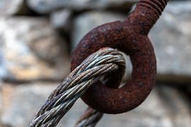 Connection by Lianne van Dijk