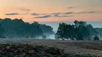Misty Morning Bergerheide van William Mevissen thumbnail