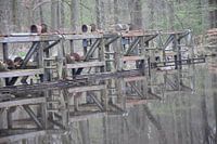 werken in het waterloopbos 