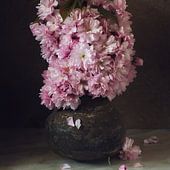 Style de vie Shabby Chic