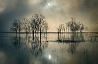Lake's Secret