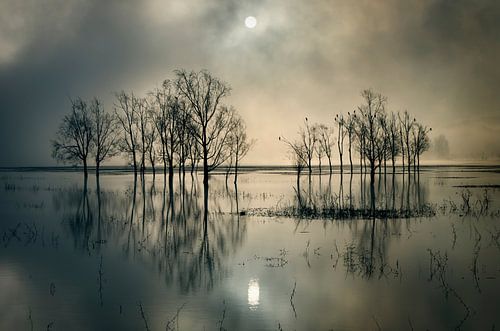 Le secret du lac