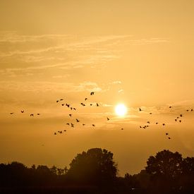 Sonnenuntergang von Alien Loedeman