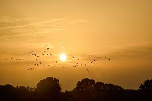 Coucher de soleil sur Alien Loedeman