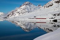 Trein in Winters Berglandschap op de Berninapas van Felina Photography thumbnail