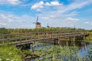 Kinderdijk