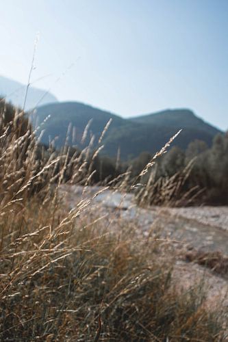 Langs de rivier in het ochtendlicht