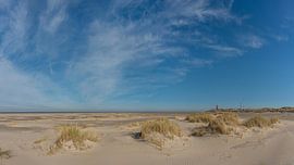 Eierland-Leuchtturm Texel neue Dünen