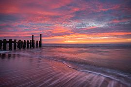 Learning To Fly von Thom Brouwer