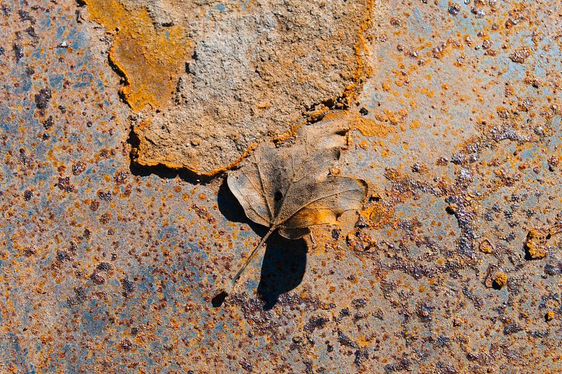 Rusty Leaves VII van LYSVIK PHOTOS