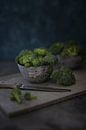 Broccoli van Christa van Gend thumbnail