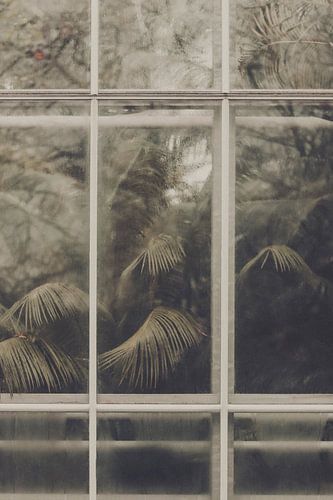 Botanische Darstellung hinter einer Glasstruktur