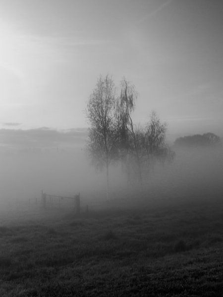 Foggy morning III by Diane van Veen