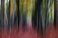 Autumn vibes by Linda Raaphorst thumbnail