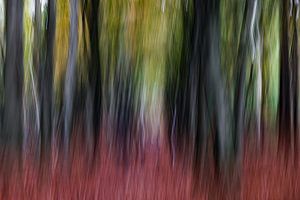 Herbst-Vibes