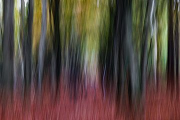 Autumn vibes van Linda Raaphorst
