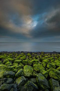 Green and blue by Andy Luberti