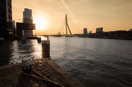 Rotterdam Erasmus Bridge sunset