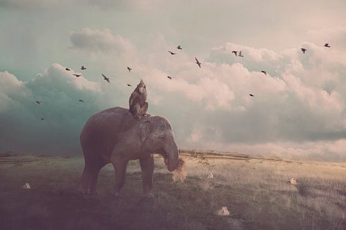 die Fahrt deines Lebens";