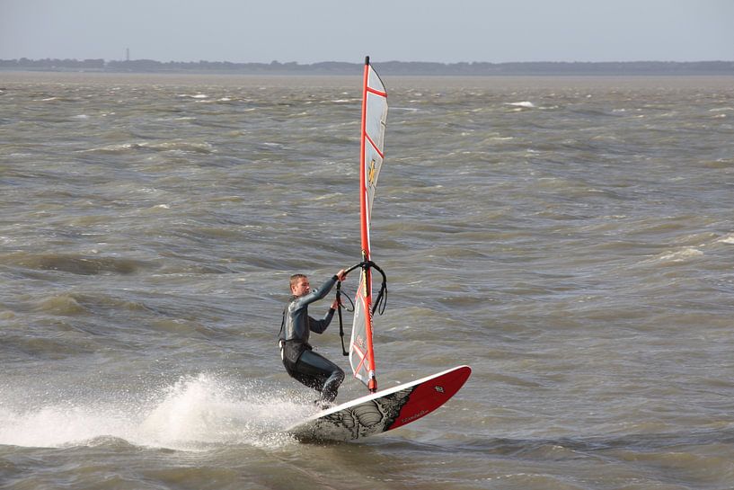 Een eenzame suver by Fotografie Fryslân