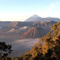 Bromo