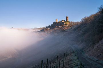 Kasteel van Thurnat, Moezel, Duitsland van Alexander Ludwig