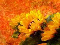 Sunflower 2020